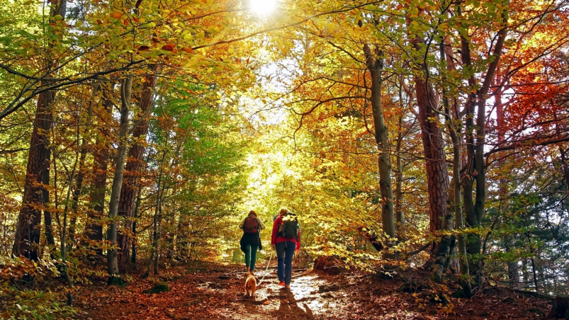 Magyarországon is útjára indult a Columbia Hike Society programja