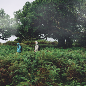 Idén még több túrával folytatódik a Columbia Hike Society programja